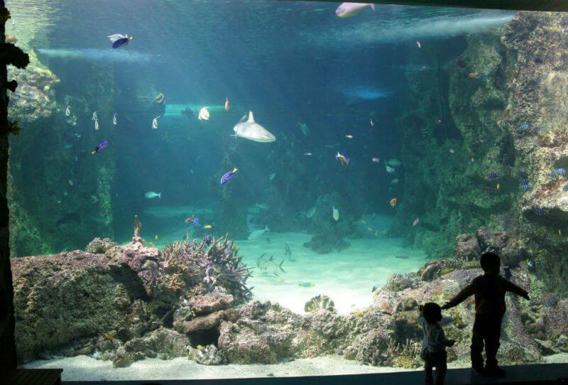 雪梨水族館