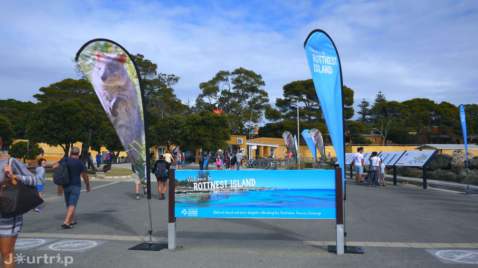 澳洲西澳羅特尼斯島
