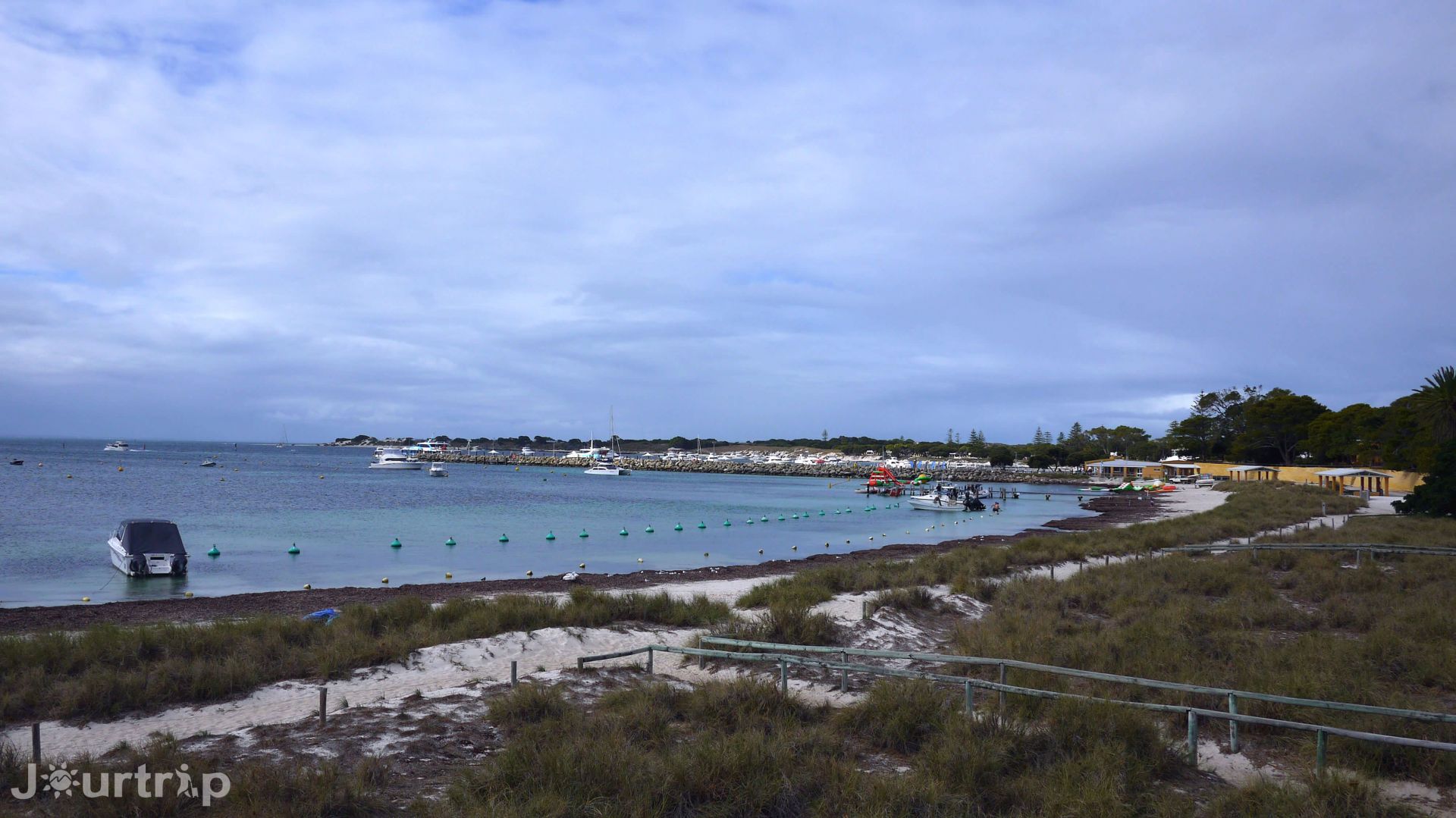 澳洲西澳羅特尼斯島