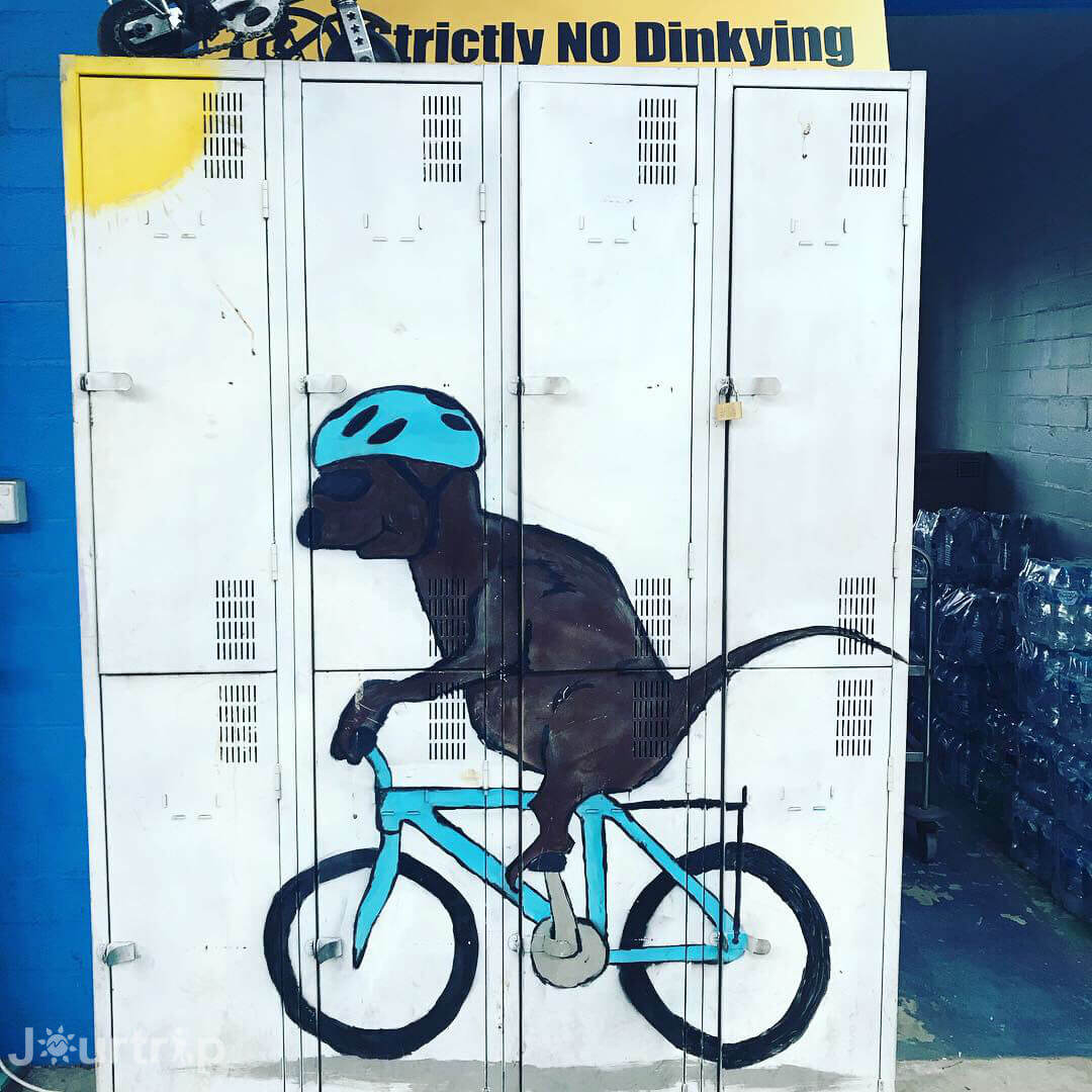 澳洲西澳羅特尼斯島腳踏車店