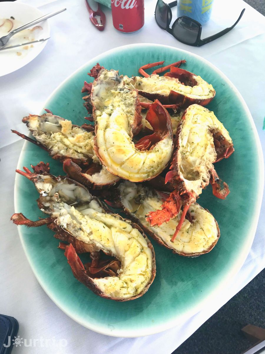 澳洲西澳羅特尼斯島捕龍蝦