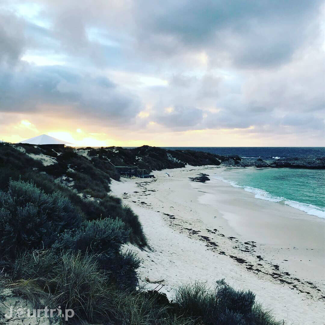 澳洲西澳羅特尼斯島Pinky Beach