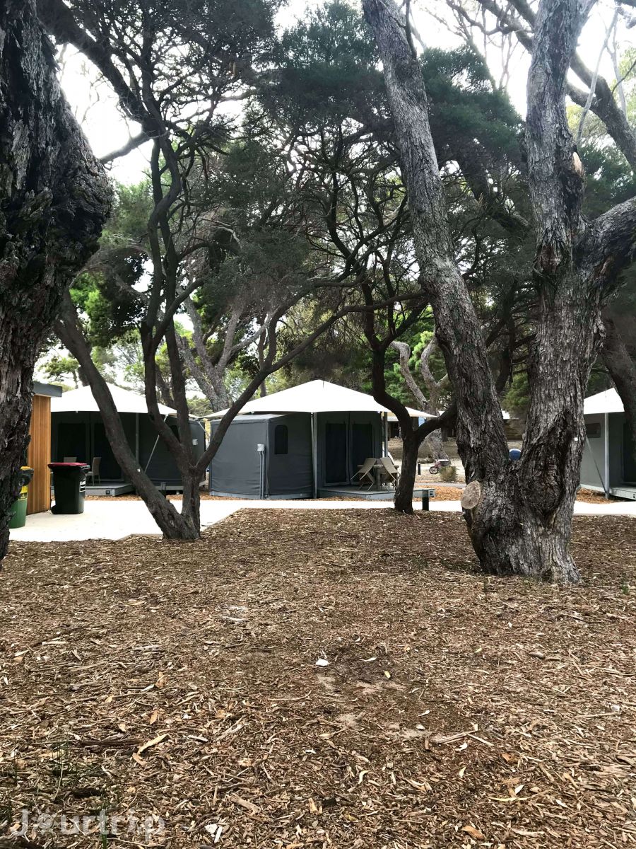 澳洲西澳羅特尼斯島Glamping