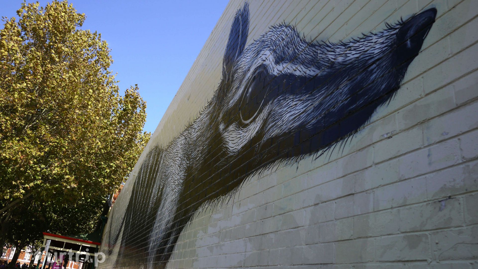 Fremantle 費里曼圖