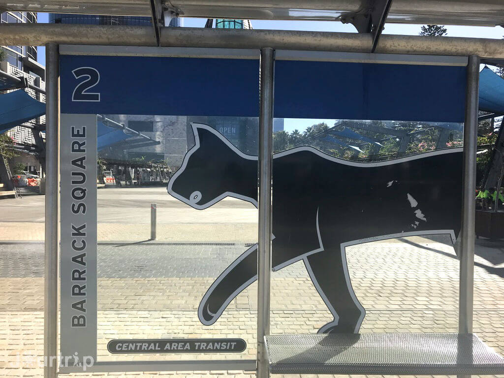 Perth CAT貓公車