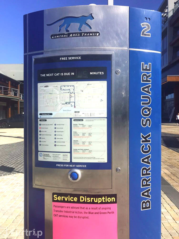 Perth CAT貓公車站牌