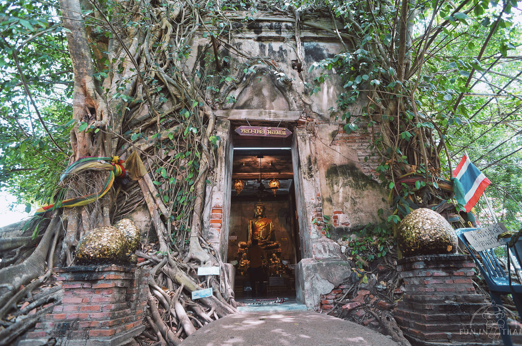 樹中廟 泰拳公園