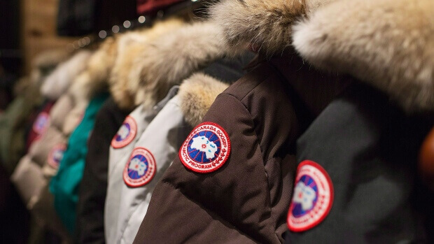 Canada Goose