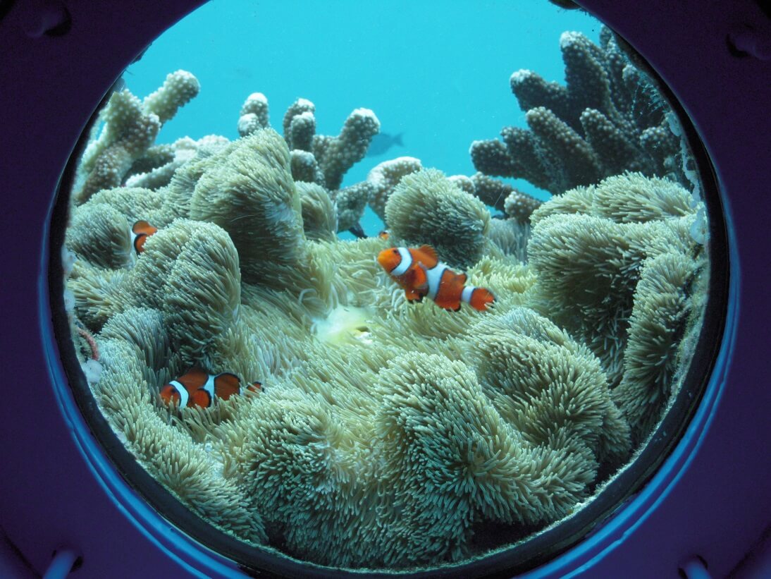 浪漫探險玻璃底船