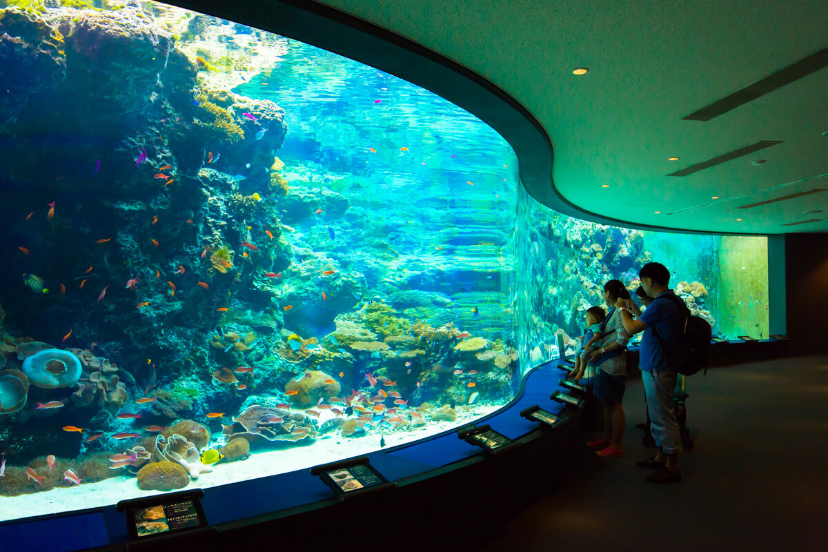 海洋博公園