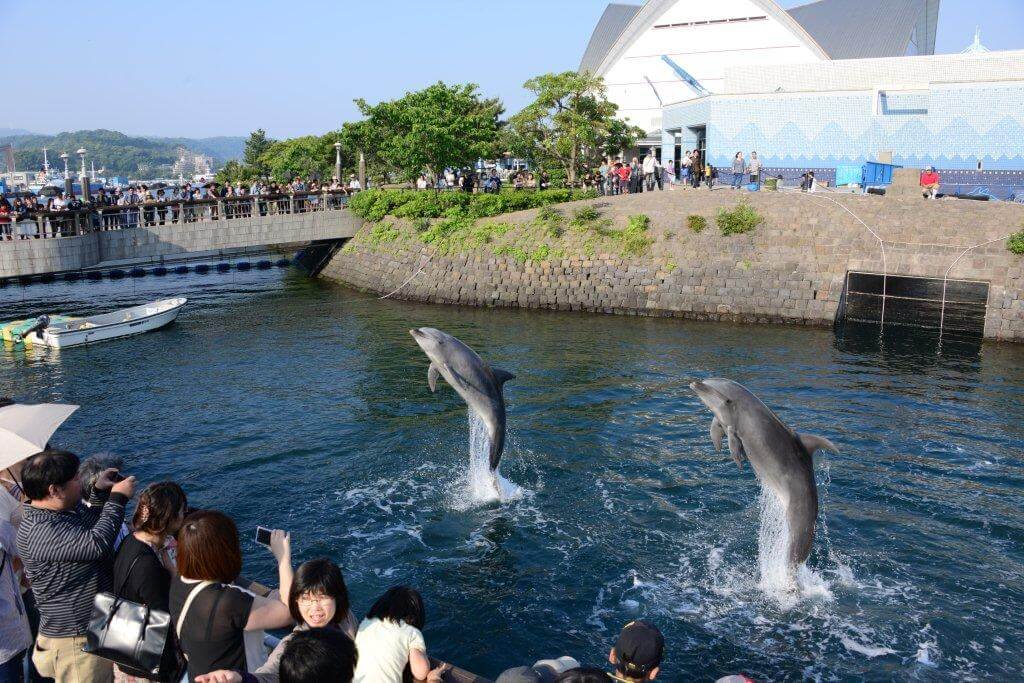 鹿兒島水族館