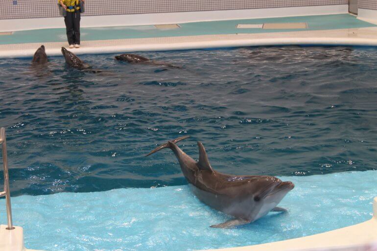 鹿兒島水族館