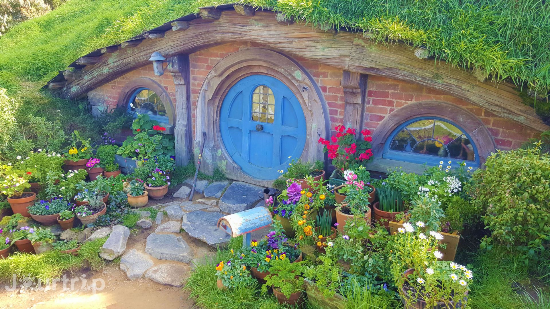 紐西蘭 哈比屯Hobbiton