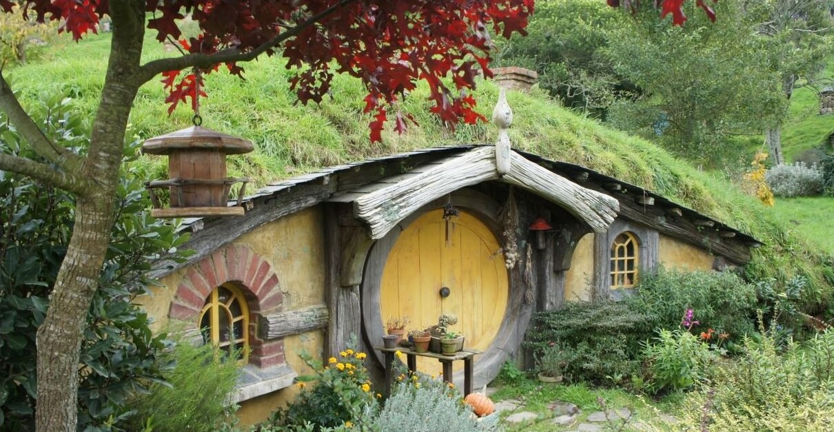 探索夢號岸上觀光