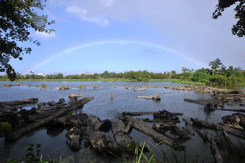 羅東林業文化園區